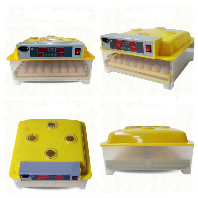 Eggs Incubator